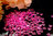 Streudeko Acrylherzen rosa 1000 Stk